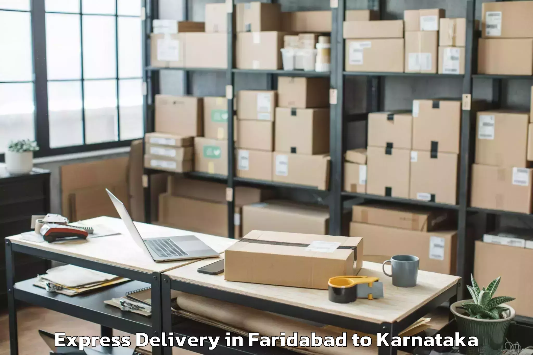 Professional Faridabad to Mudgere Express Delivery